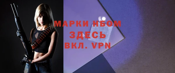 дмт Алзамай