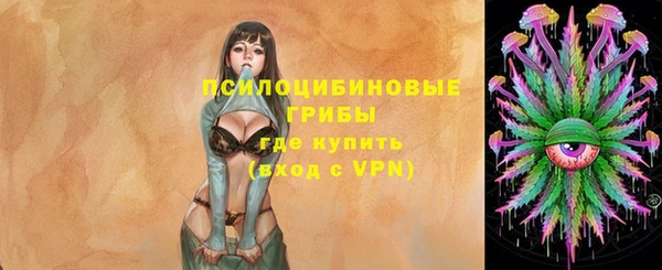 mdma Медвежьегорск