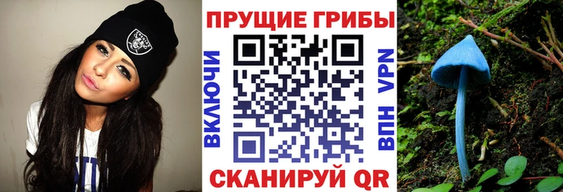 Псилоцибиновые грибы ЛСД  где купить наркоту  Дыгулыбгей 